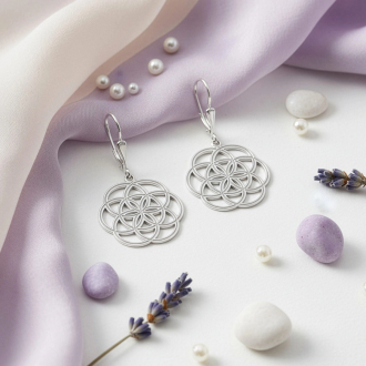 Stříbrné náušnice NA6022